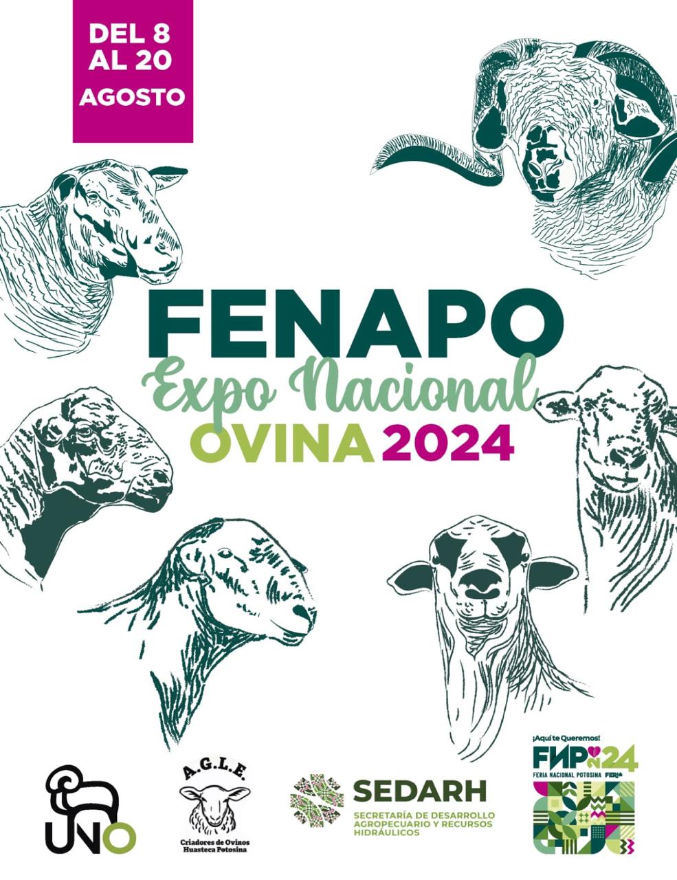 Gobierno prepara muestra ganadera en la Fenapo 2024