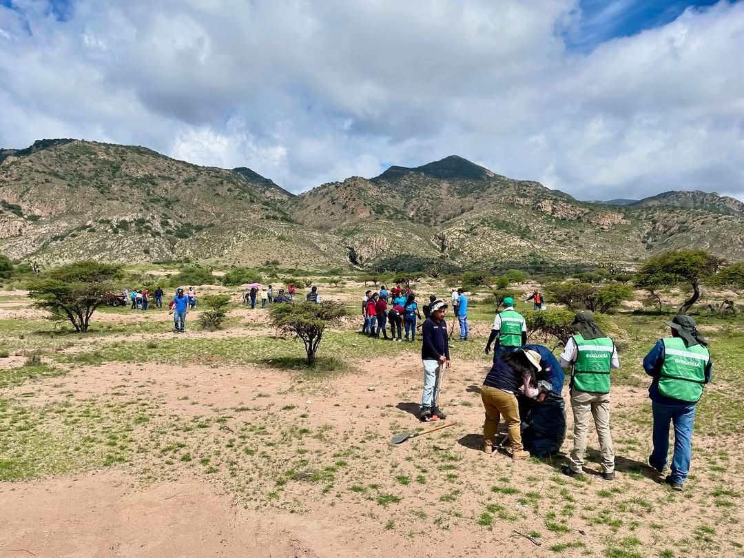 Con un millón de plantas reforestarán Sierra de San Miguelito