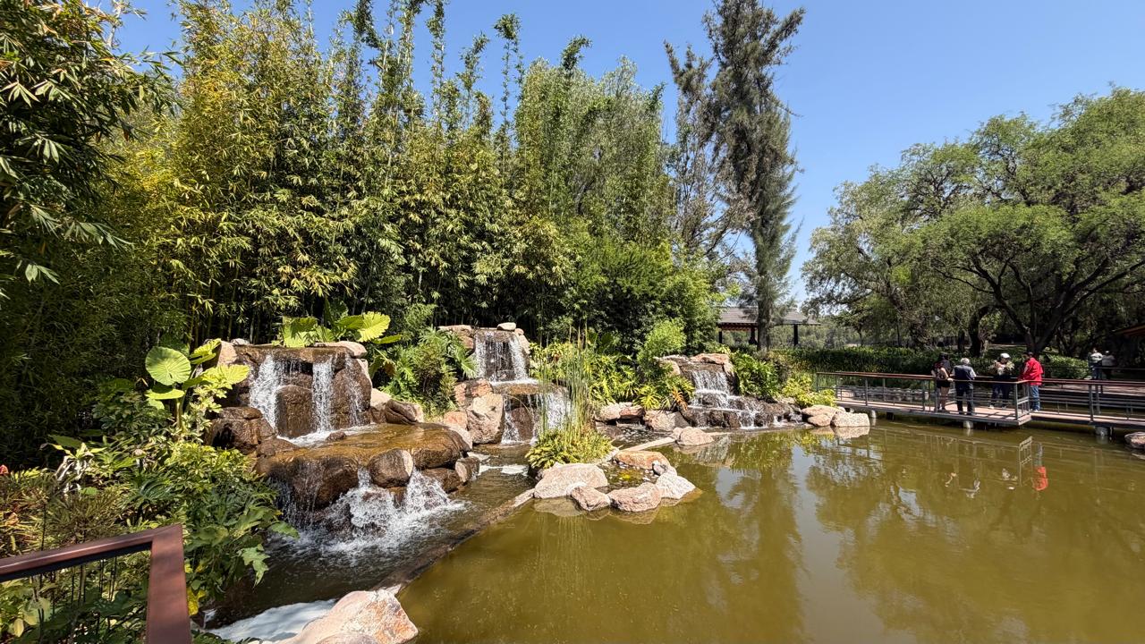 Parque japonés, un espacio ideal para la meditación